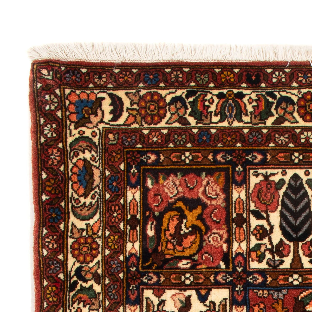 Bakhtiari Tappeto 64x102cm - Tappeto persiano