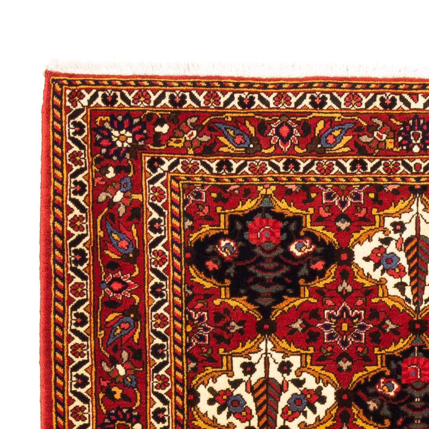 Bakhtiari Tappeto 159x110cm - Tappeto persiano