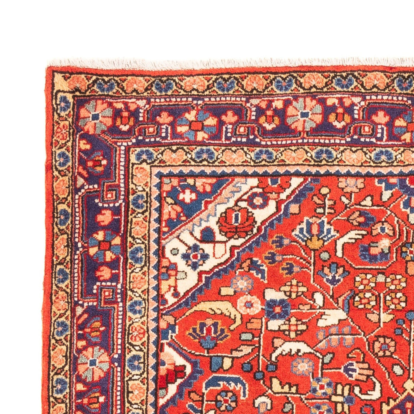 Jozan Tappeto 160x108cm - Tappeto persiano