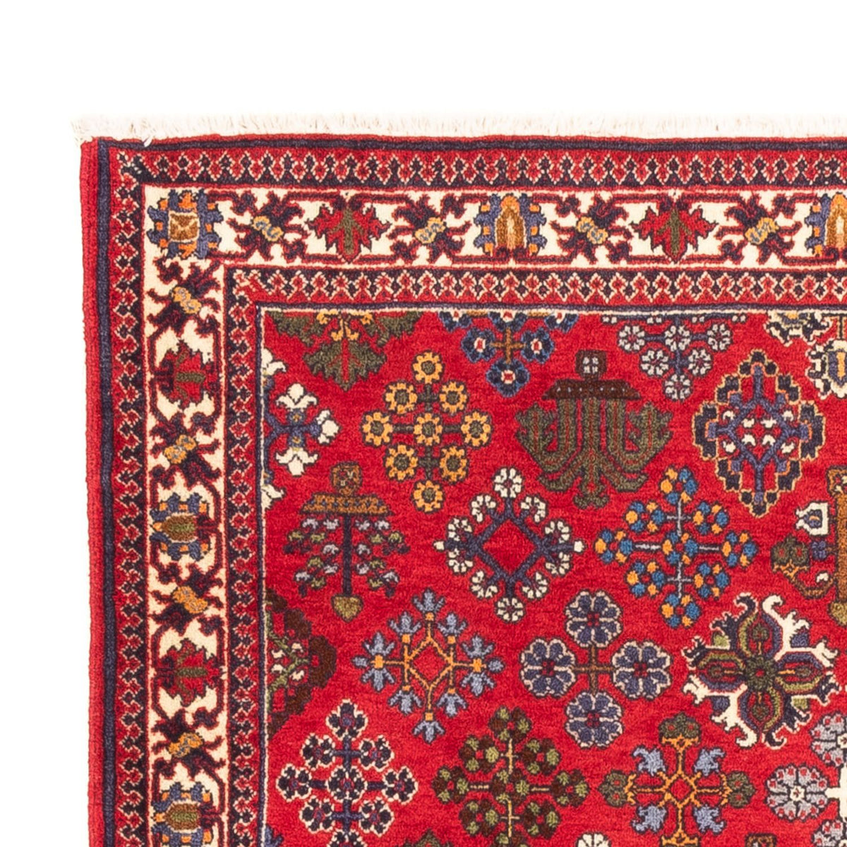 Meymeh Tappeto 110x168cm - Tappeto persiano