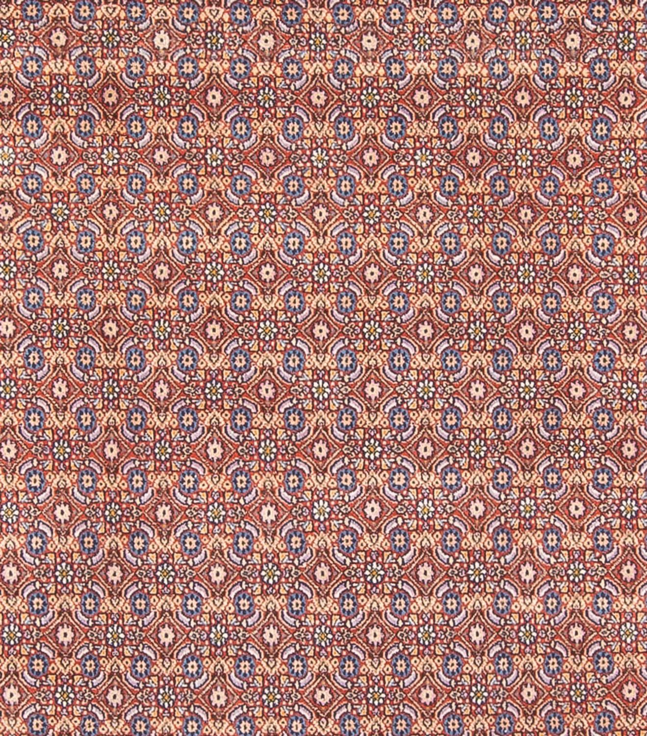 Tappeto Persero - Classico - 294 x 243 cm - blu scuro