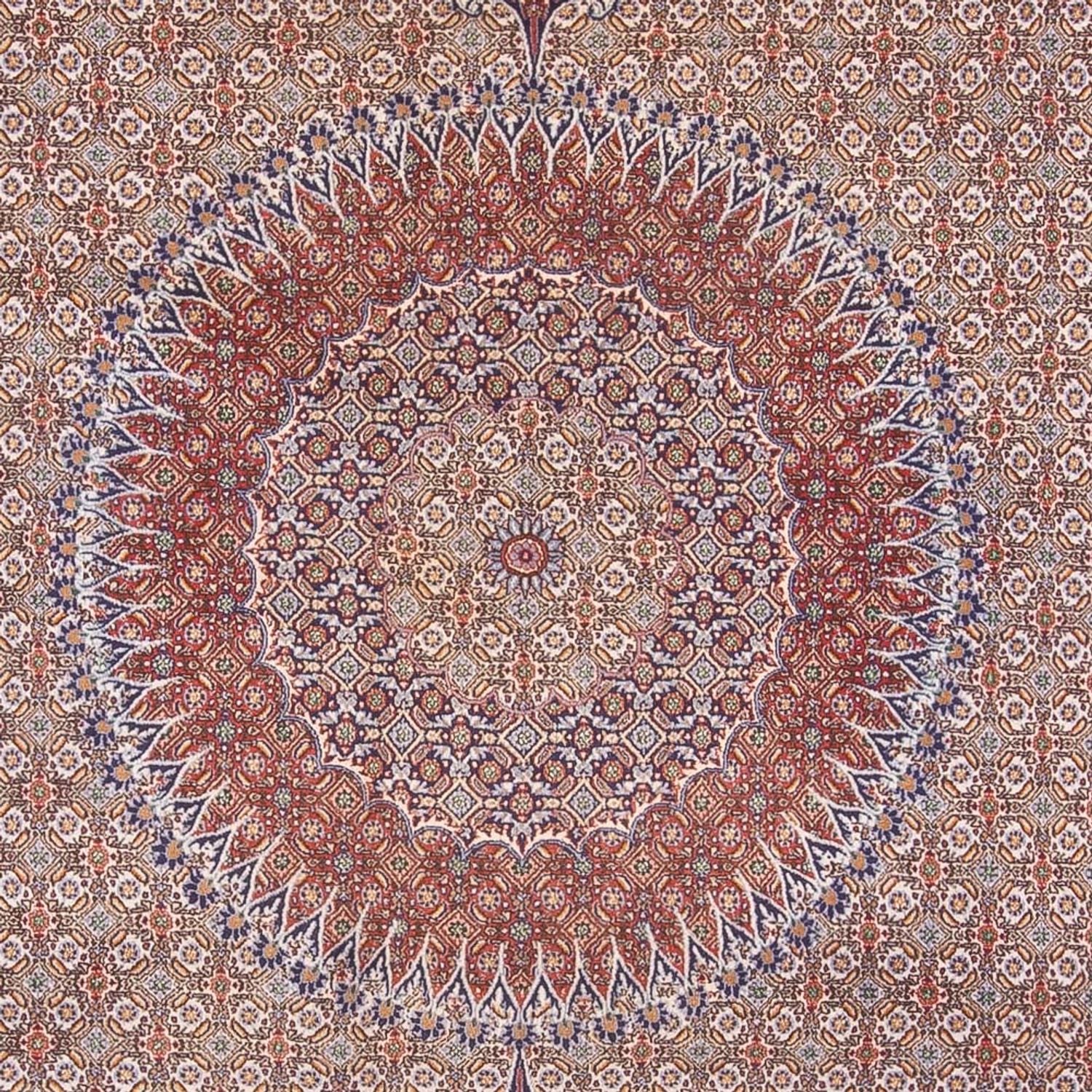 Tappeto Persero - Classico - 388 x 293 cm - beige scuro