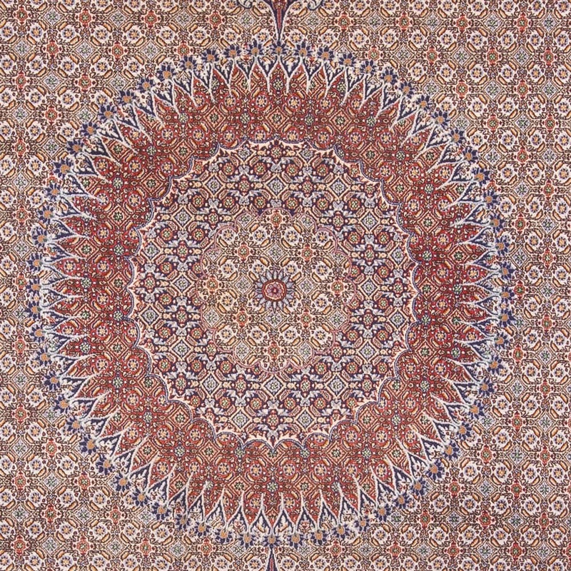 Tappeto Persero - Classico - 388 x 293 cm - beige scuro