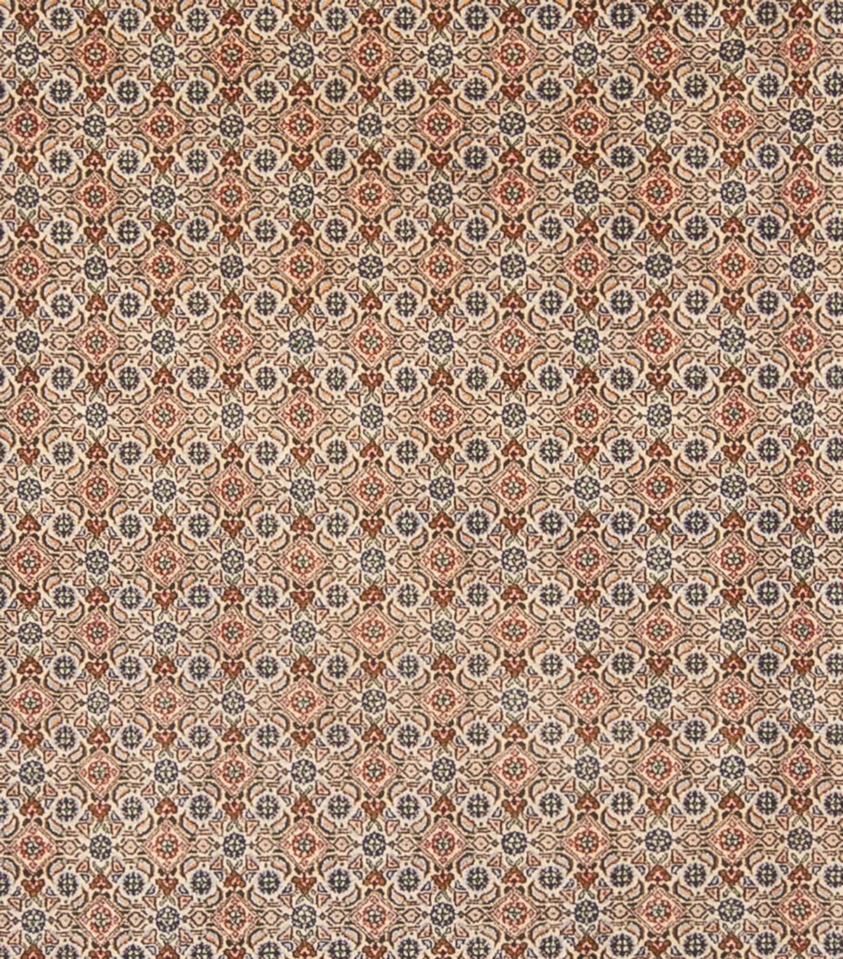 Tappeto Persero - Classico - 343 x 247 cm - beige scuro