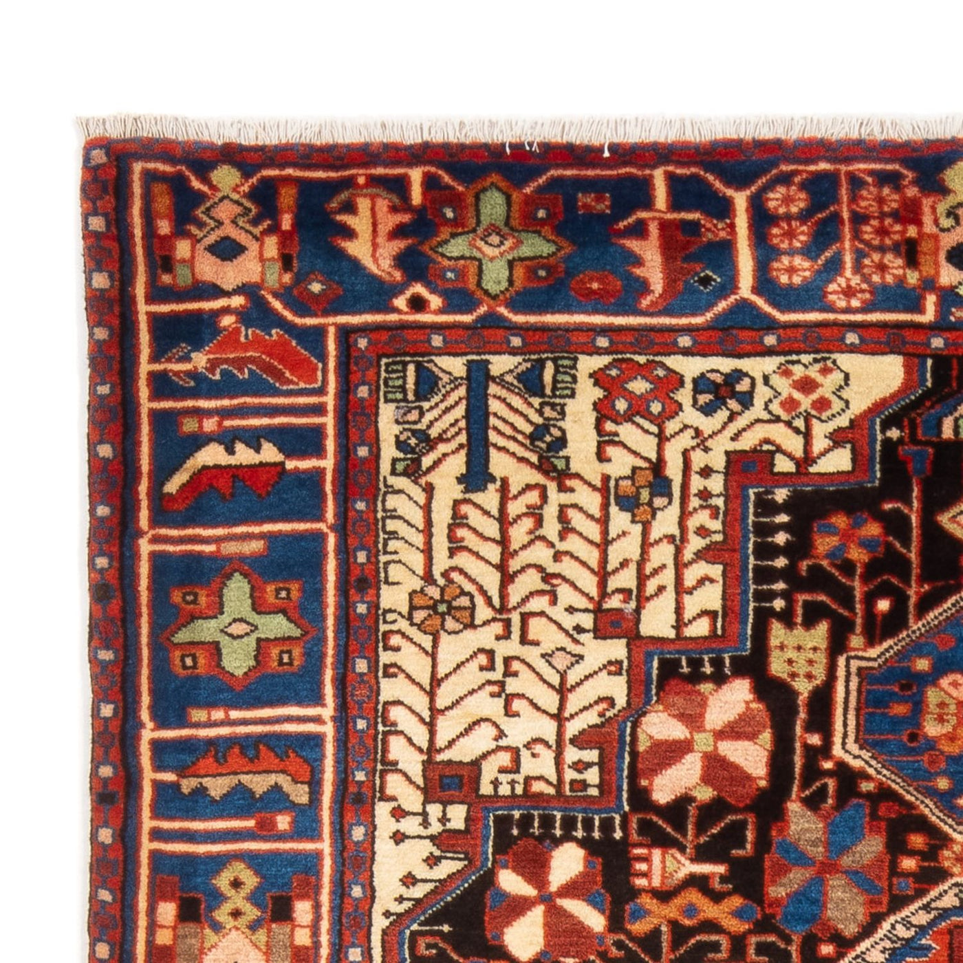 Nahavand Tappeto 207x147cm - Tappeto persiano