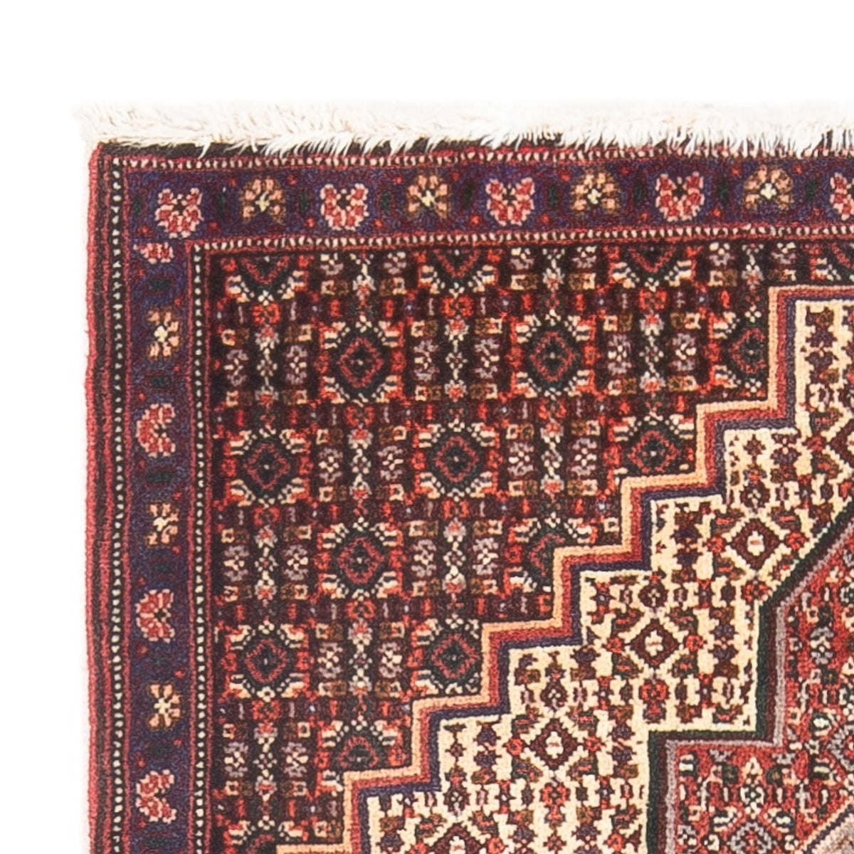 Senneh Tappeto 70x98cm - Tappeto persiano