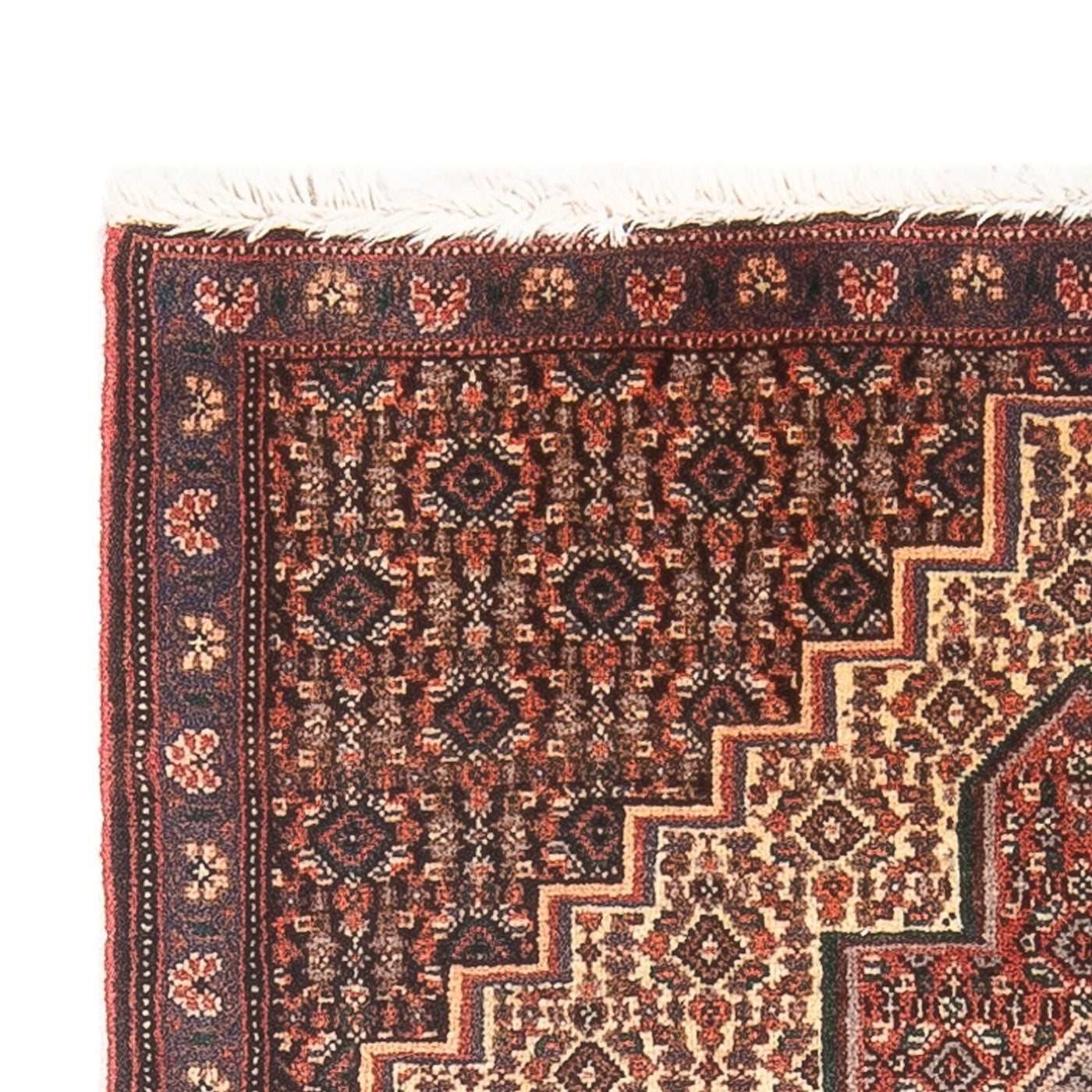 Senneh Tappeto 100x72cm - Tappeto persiano