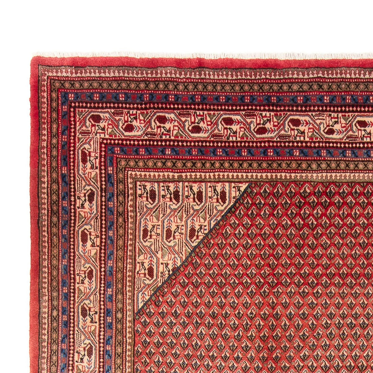 Sarouk Tappeto 258x365cm - Tappeto persiano
