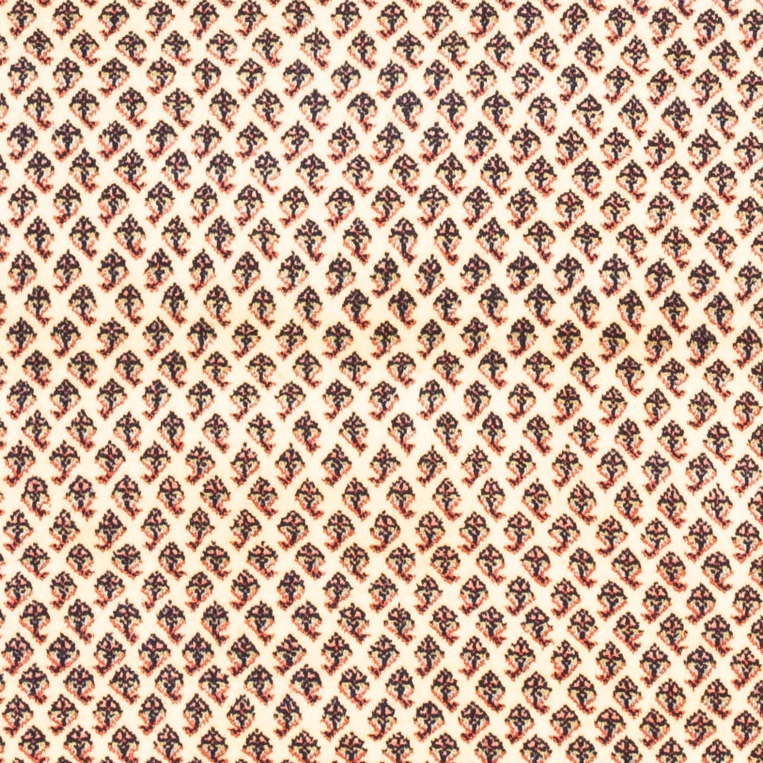 Tappeto Persero - Mir - 160 x 107 cm - crema