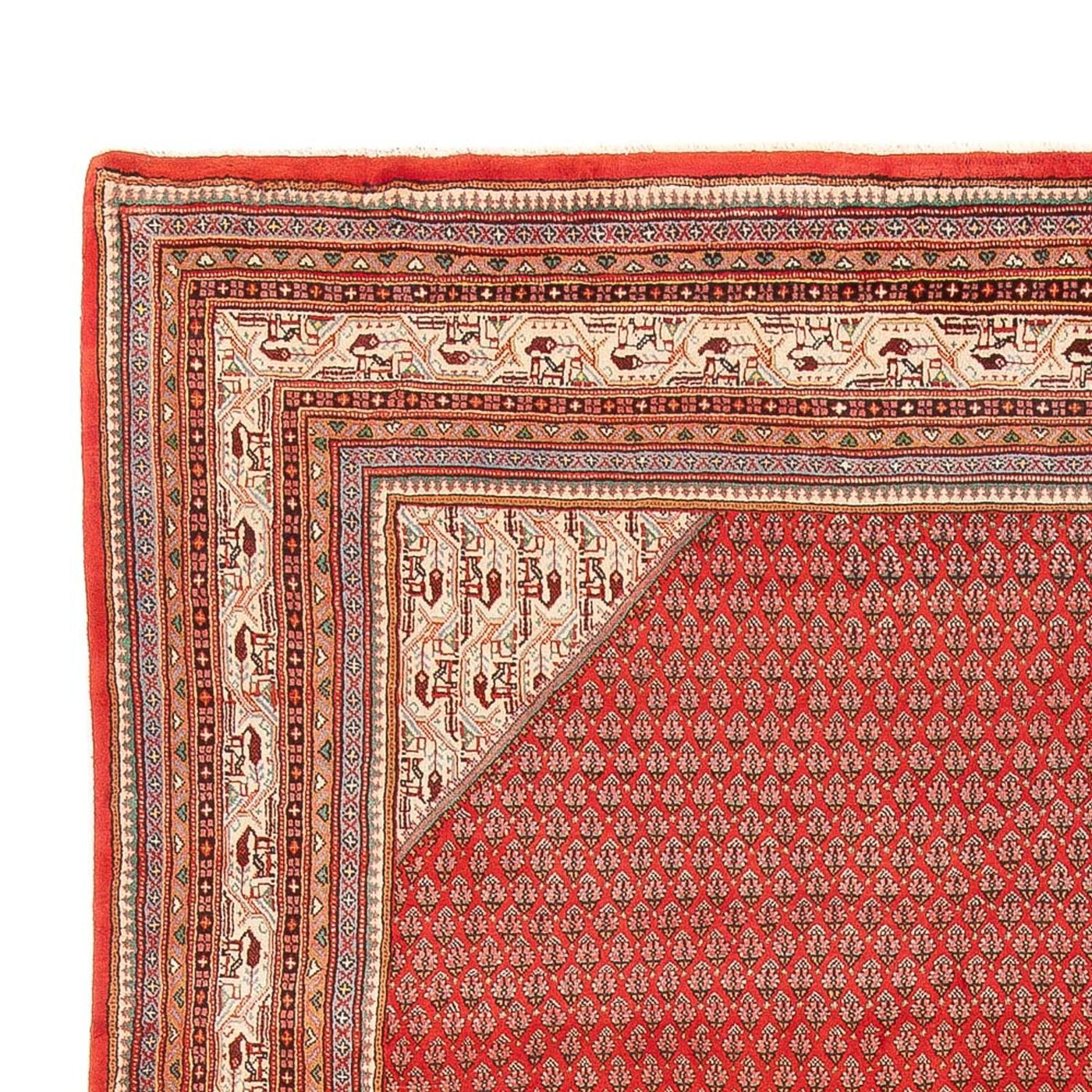 Mir Tappeto 380x273cm - Tappeto persiano