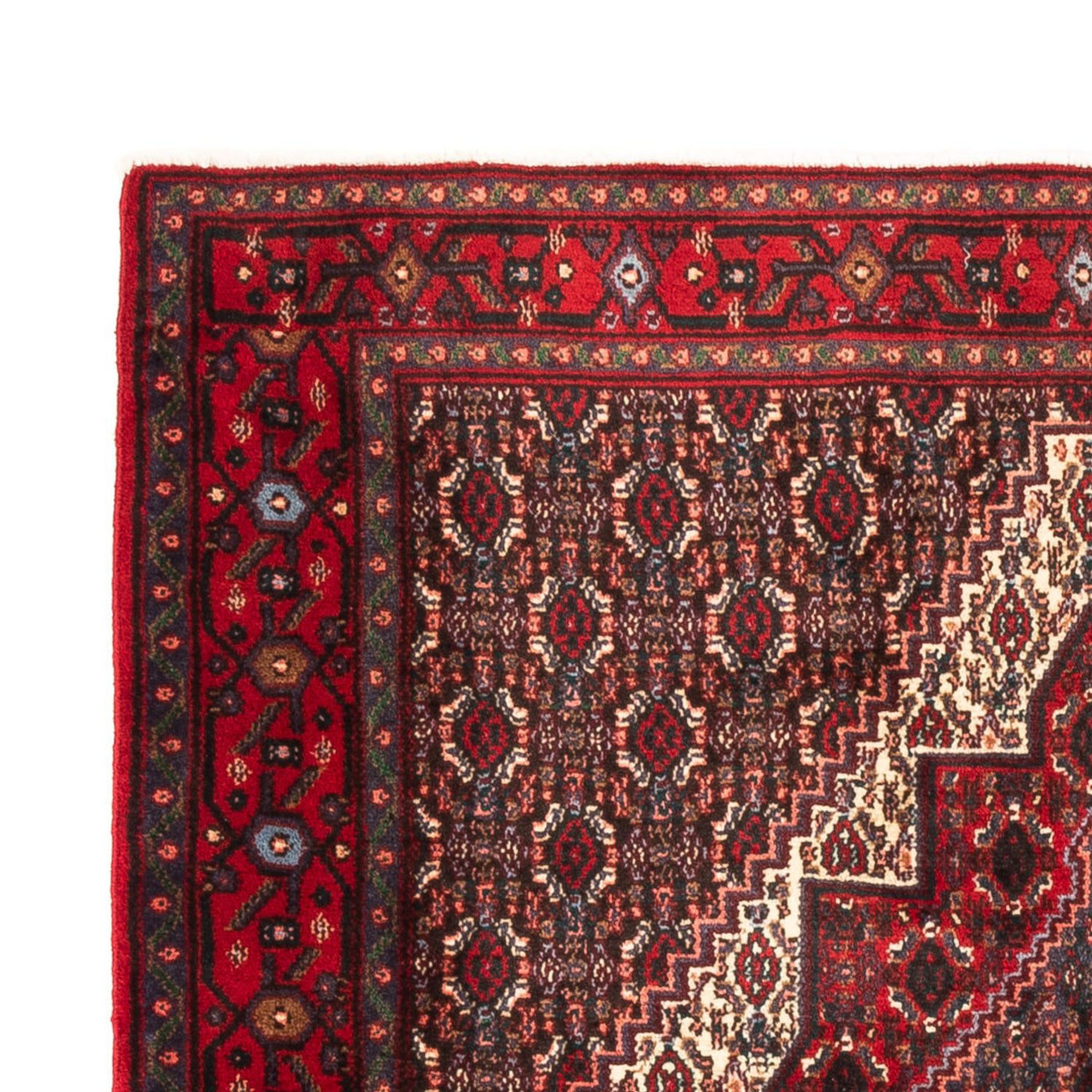 Senneh Tappeto 145x123cm - Tappeto persiano