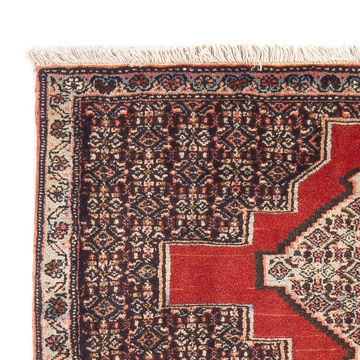 Senneh Tappeto 78x103cm - Tappeto persiano