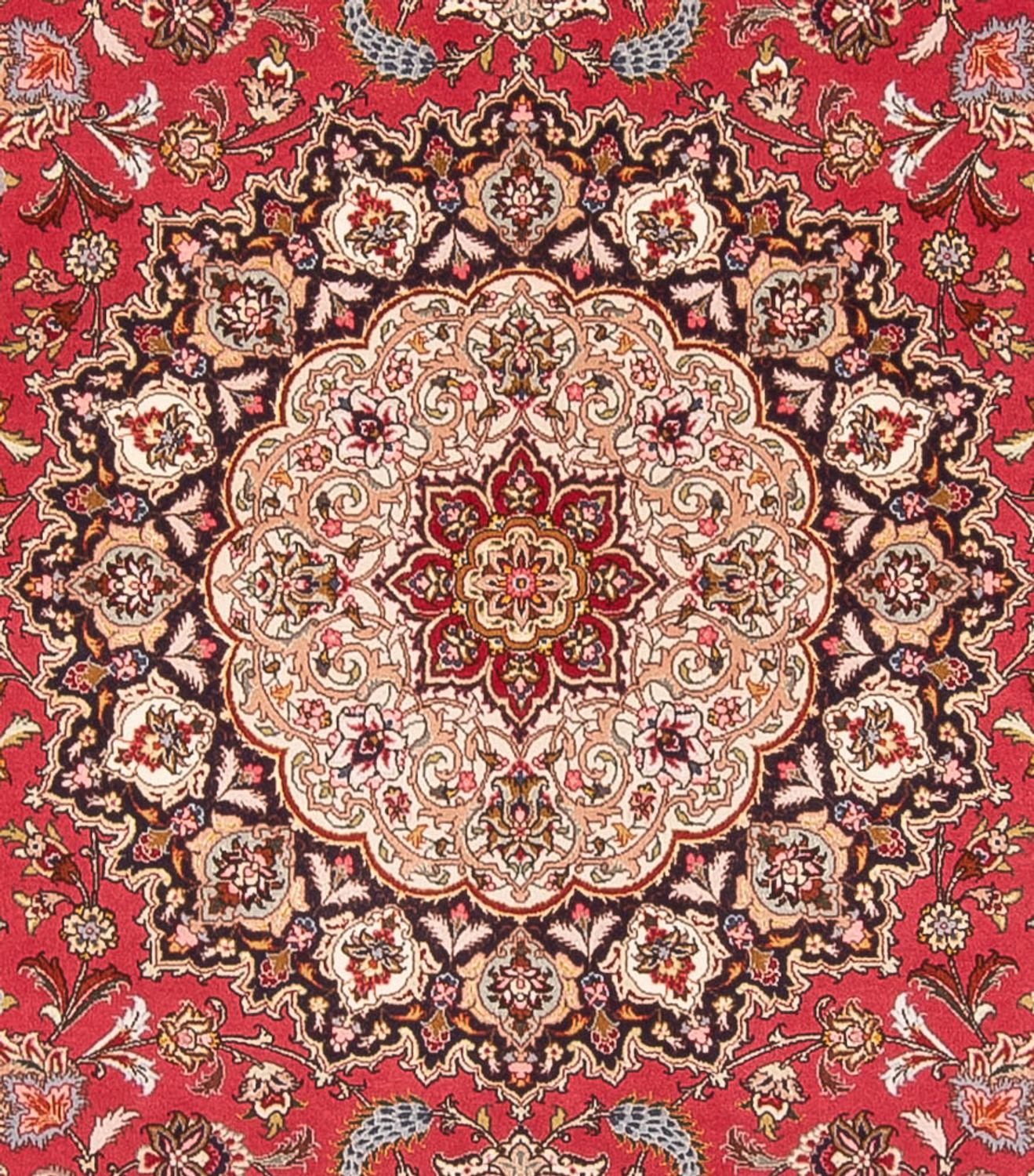 Tappeto Persero - Tabriz - Reale quadrato  - 252 x 252 cm - rosso