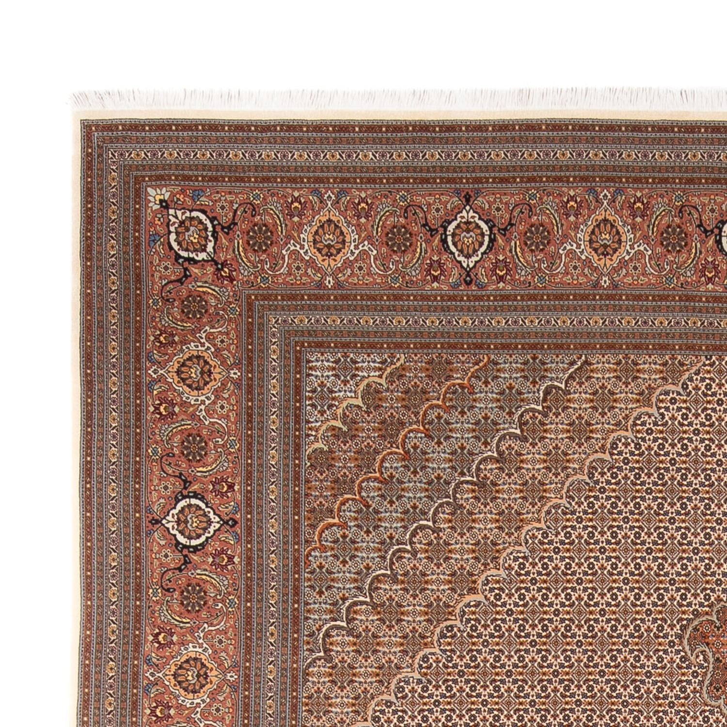 Tappeto Persero - Tabriz - 349 x 254 cm - marrone chiaro