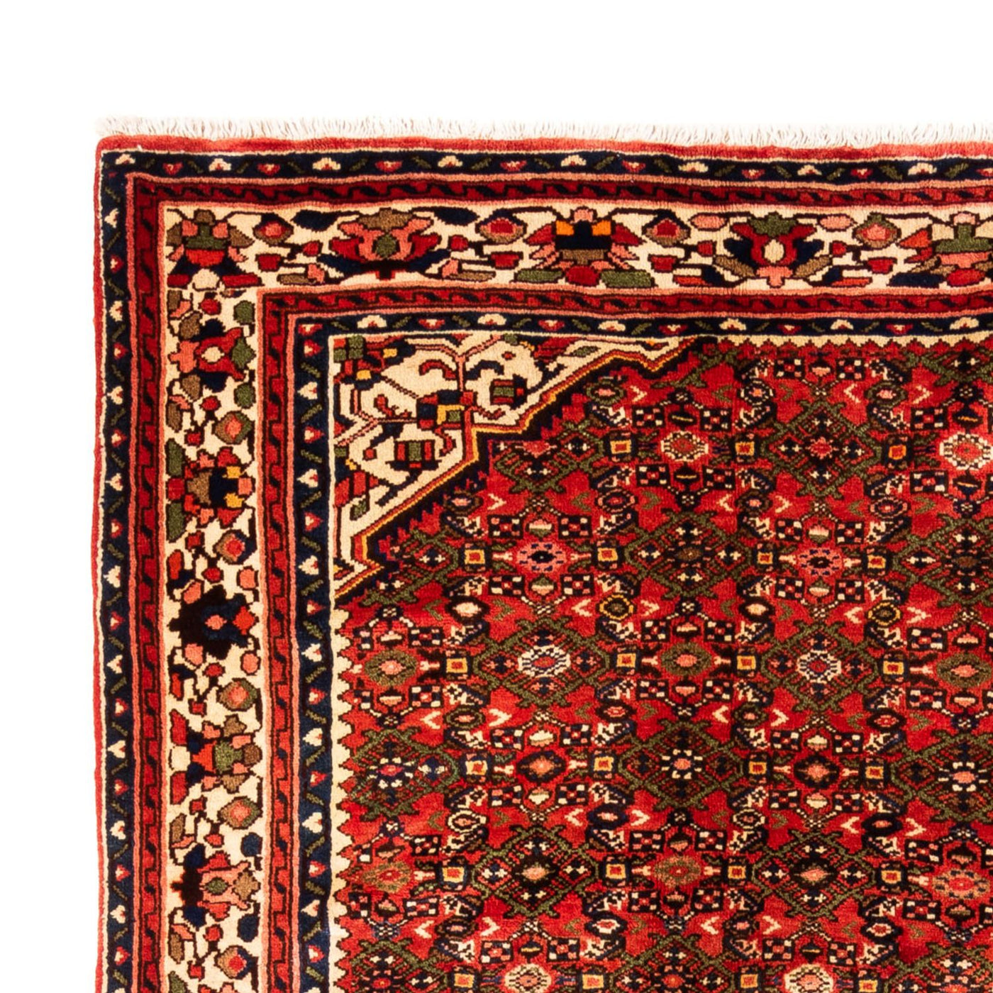 Hamadan Tappeto 310x218cm - Tappeto persiano