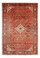 Kolyai Tappeto 314x216cm - Tappeto persiano