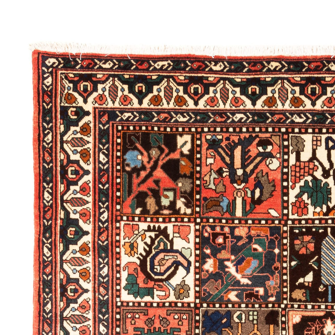 Bakhtiari Tappeto 300x205cm - Tappeto persiano