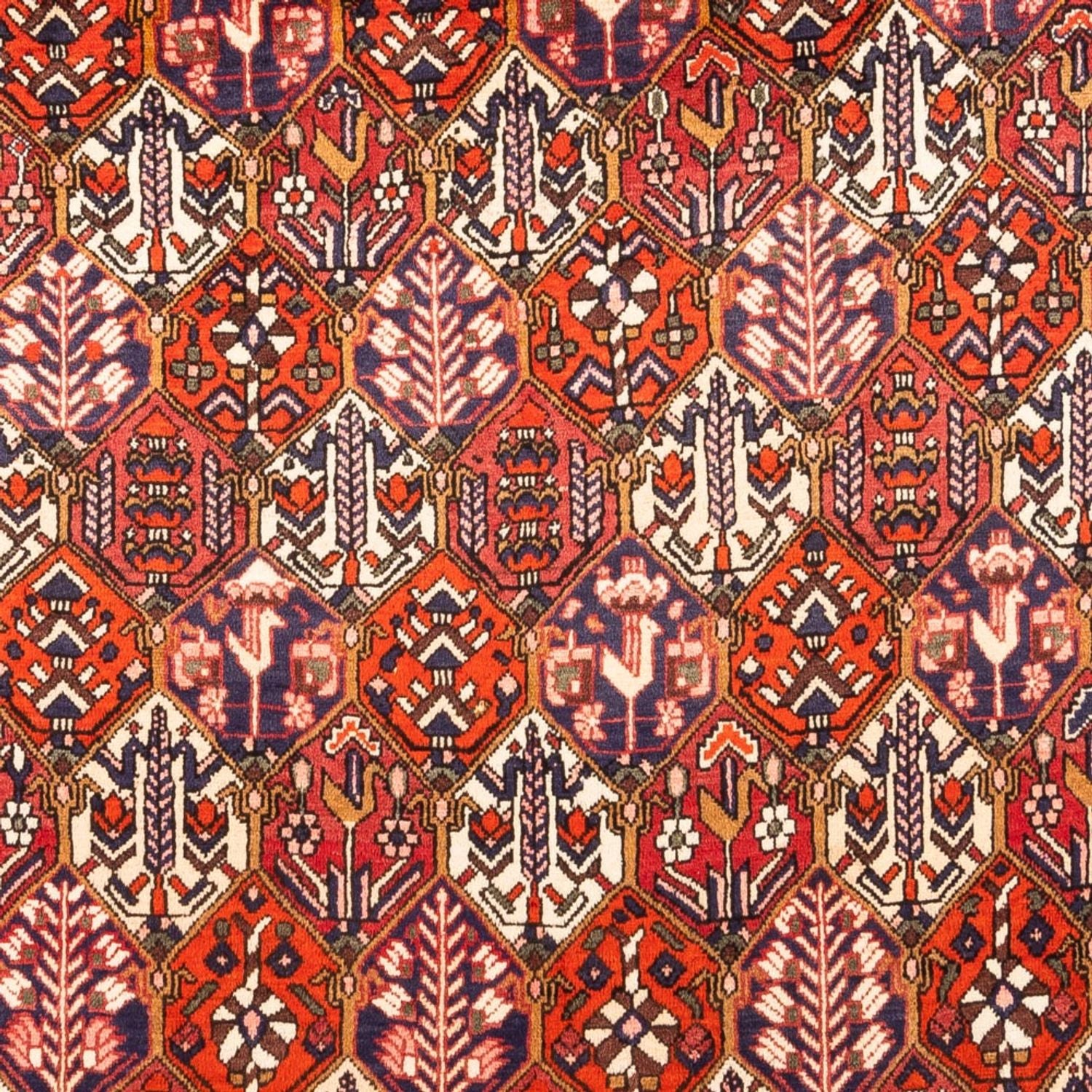 Tappeto Persero - Nomade - 310 x 210 cm - rosso