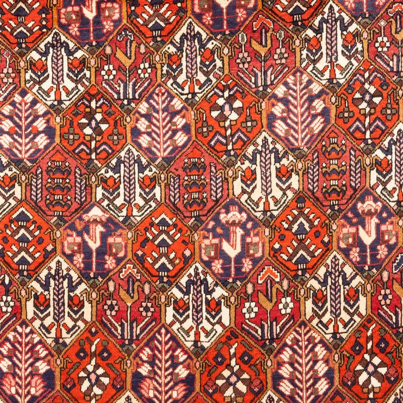 Tappeto Persero - Nomade - 310 x 210 cm - rosso