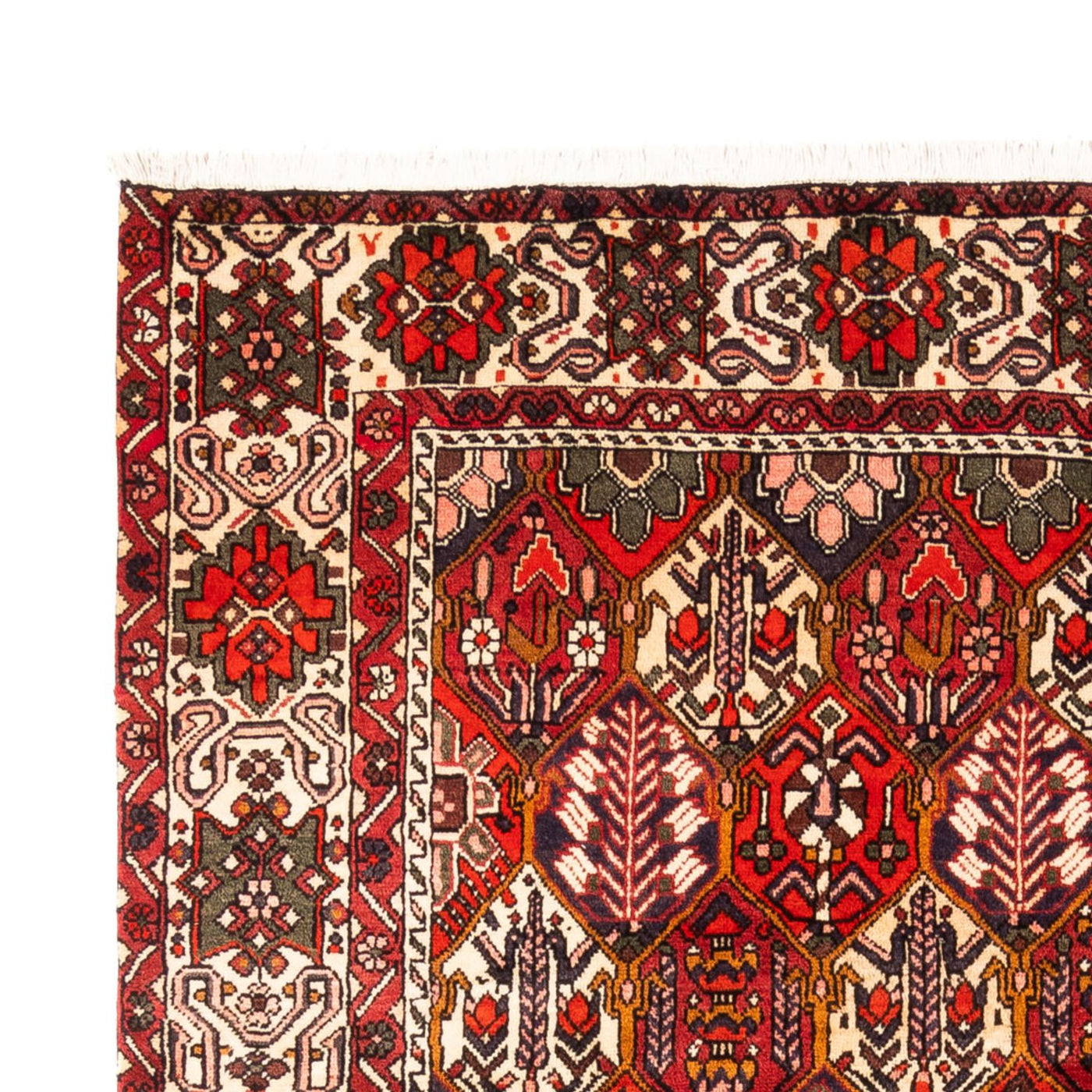 Bakhtiari Tappeto 310x210cm - Tappeto persiano
