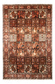 Bachtiar Tappeto 307x206cm - Tappeto persiano