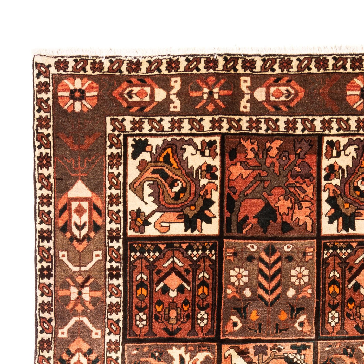 Bachtiar Tappeto 307x206cm - Tappeto persiano