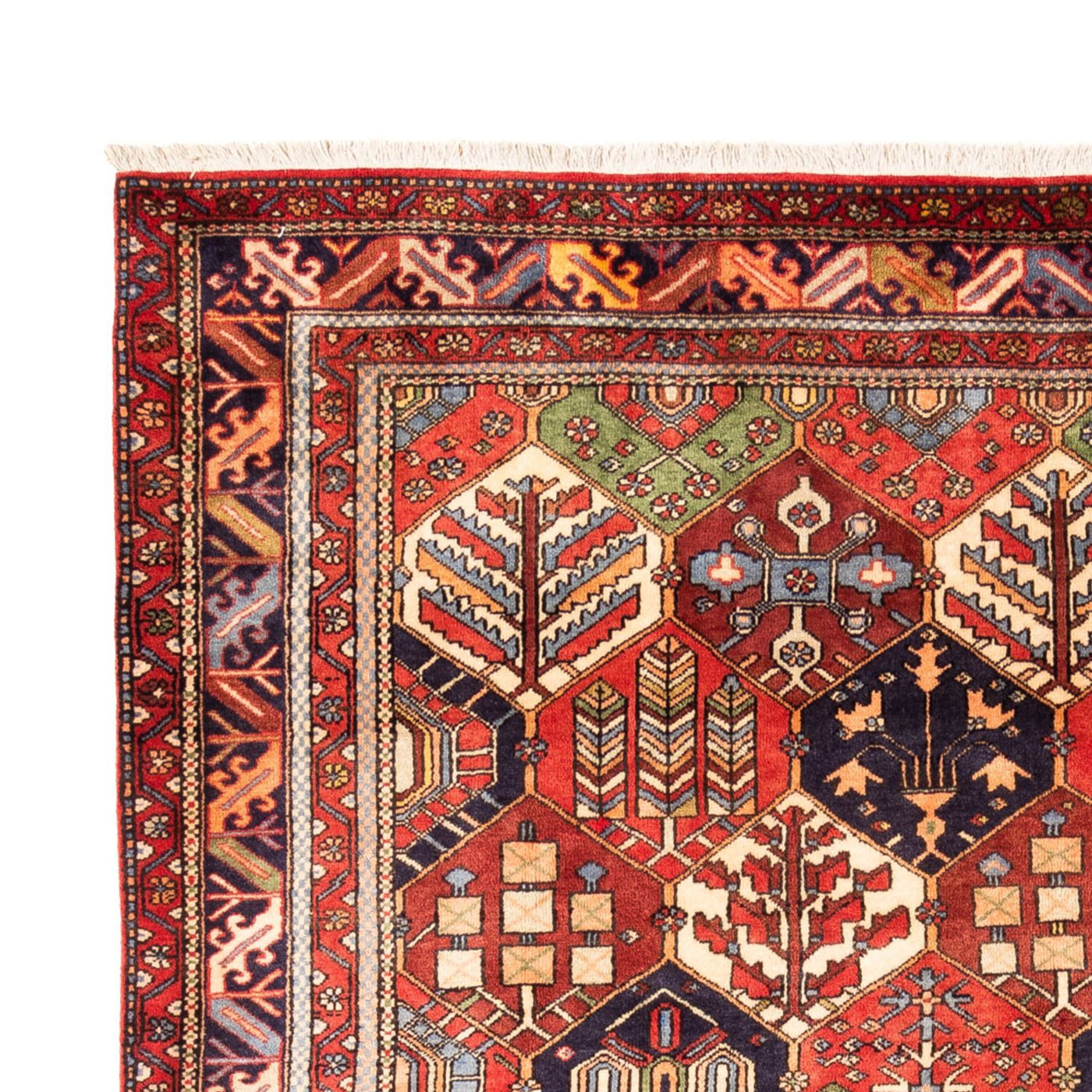 Gabbeh persiano Tappeto 325x218cm - Perserteppich Wollteppich