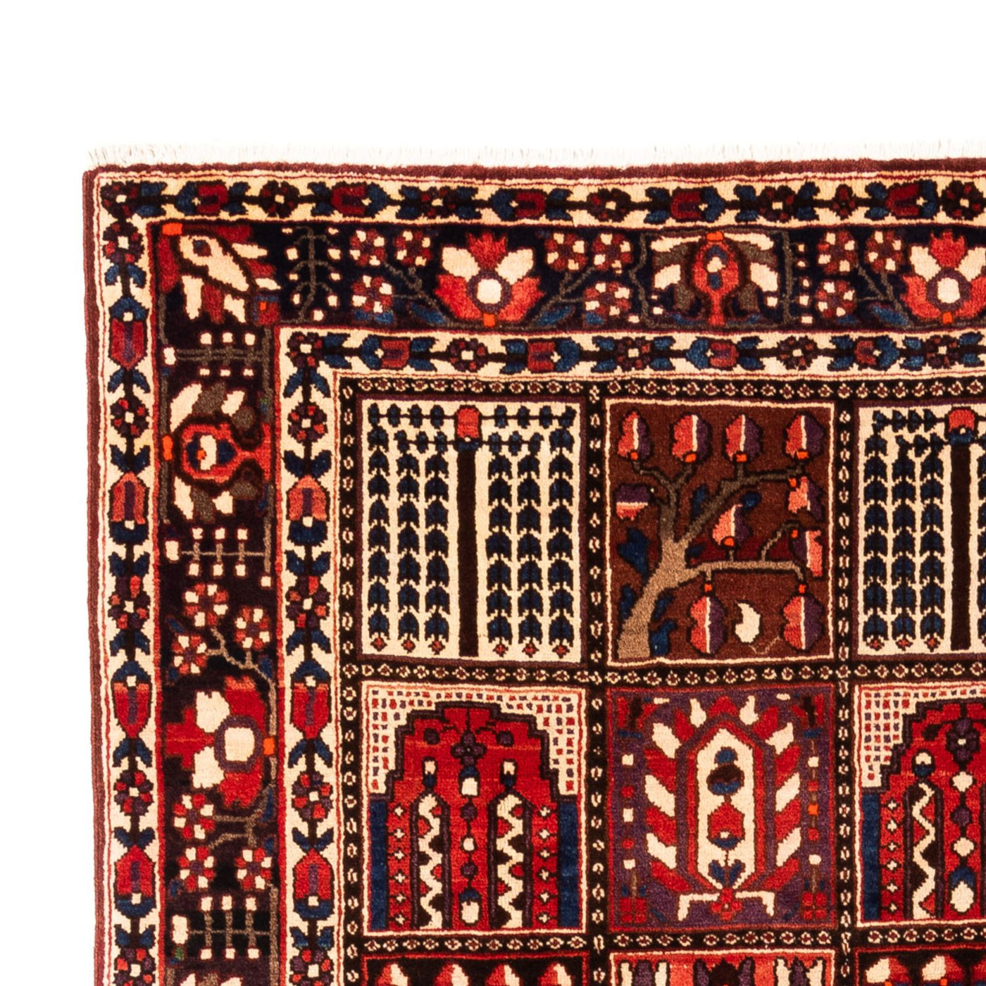 Bakhtiari Tappeto 317x210cm - Tappeto persiano