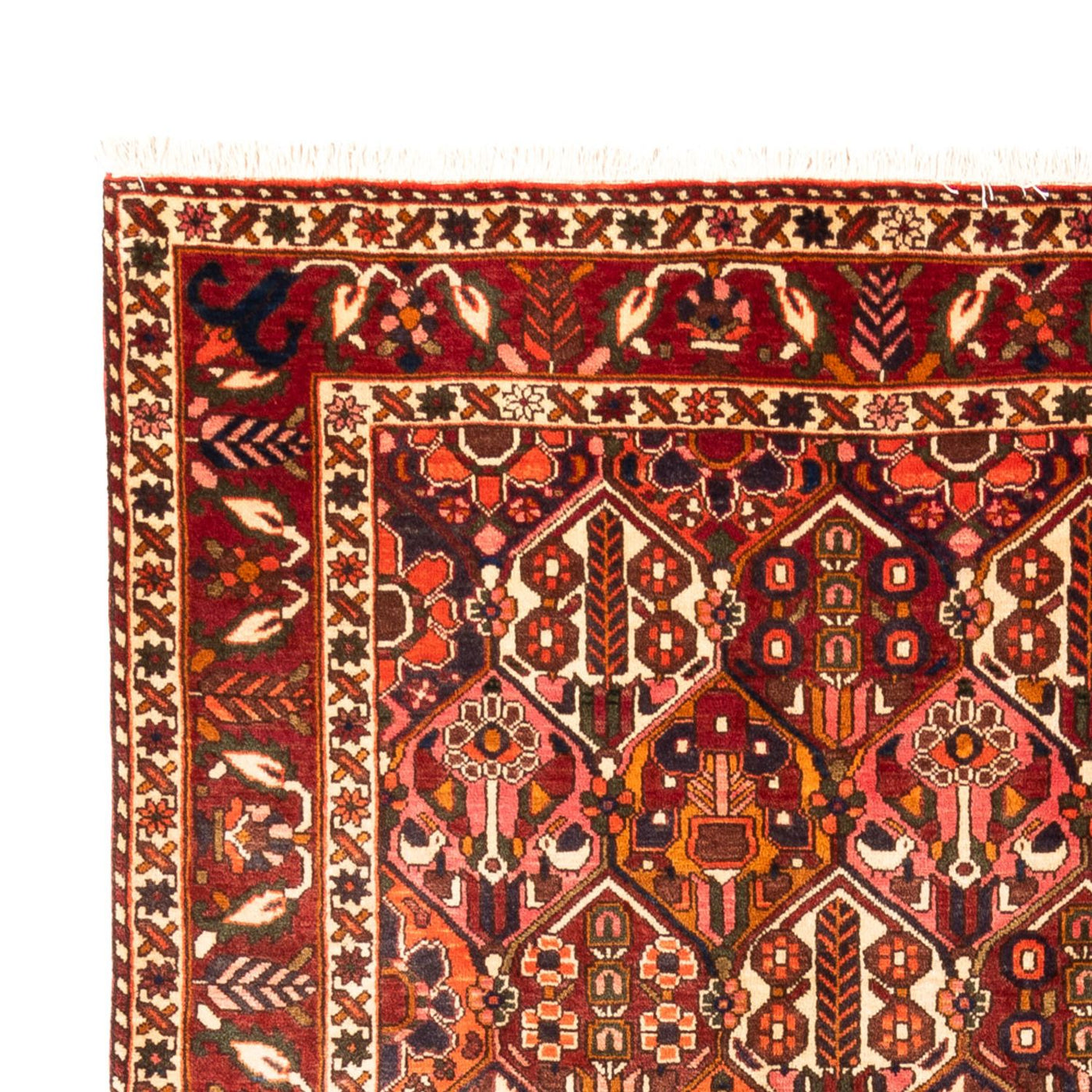 Bakhtiari Tappeto 308x210cm - Tappeto persiano