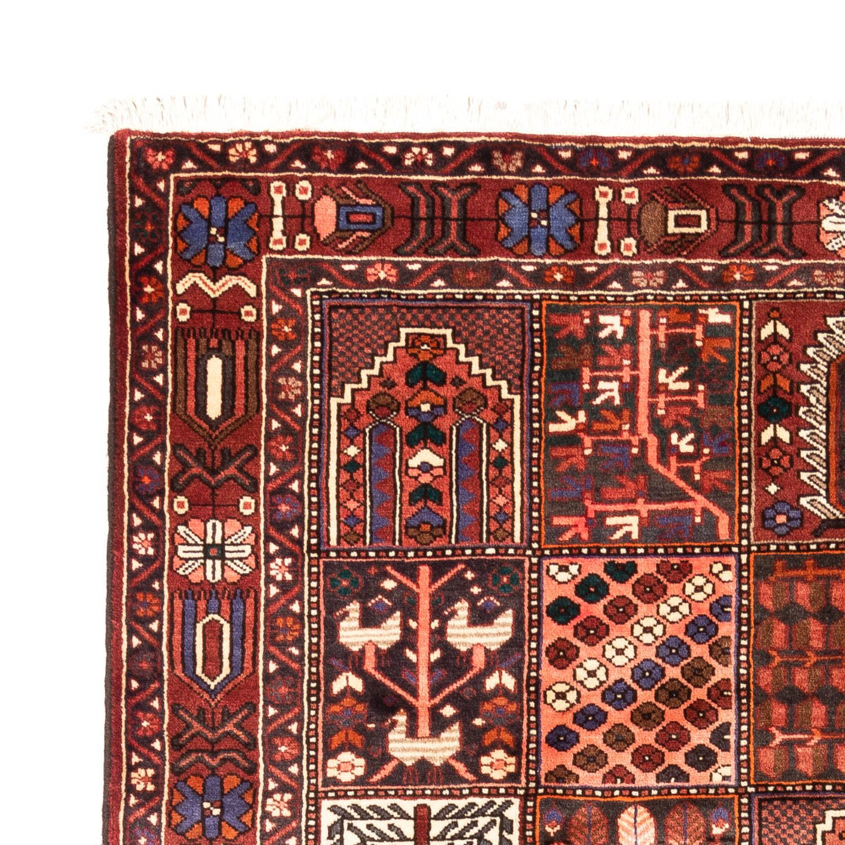 Tappeto Bakhtiari 208x310cm - Tappeto persiano - multicolore