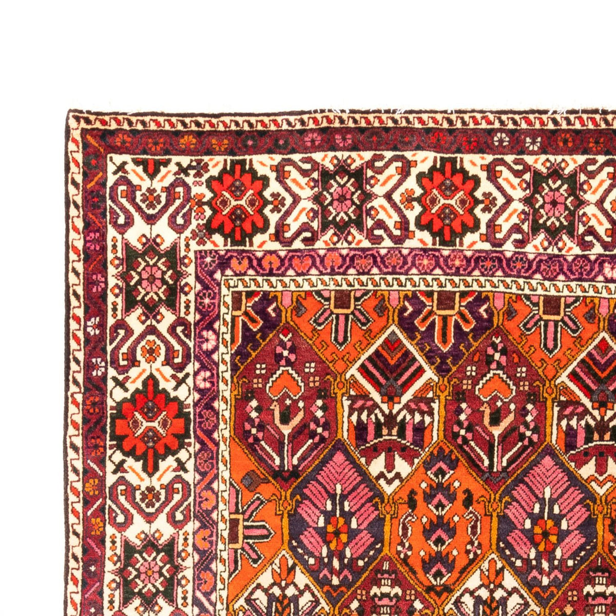 Bakhtiari Tappeto 203x310cm - Tappeto persiano