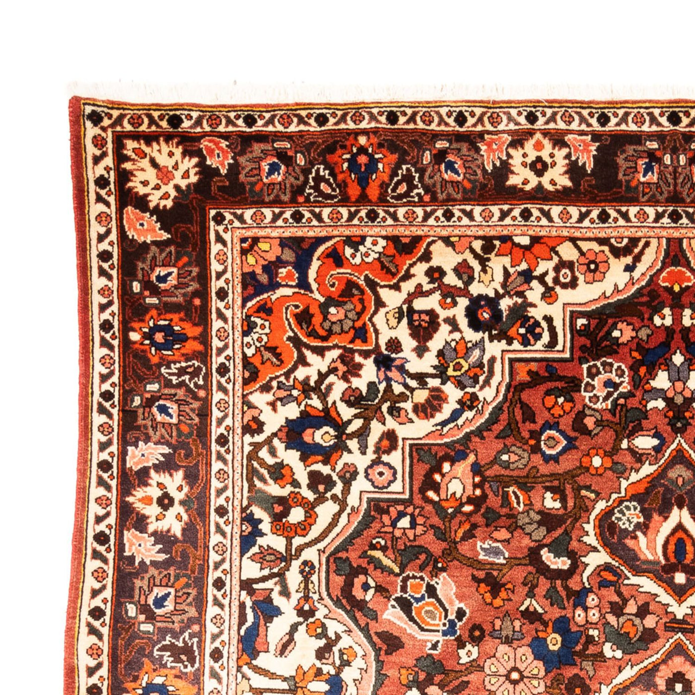 Bakhtiari Tappeto 305x217cm - Tappeto persiano