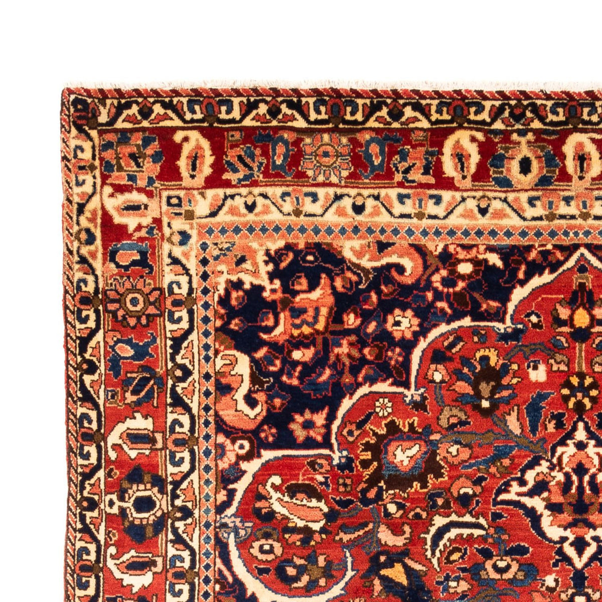 Bakhtiari Tappeto 214x323cm - Tappeto persiano