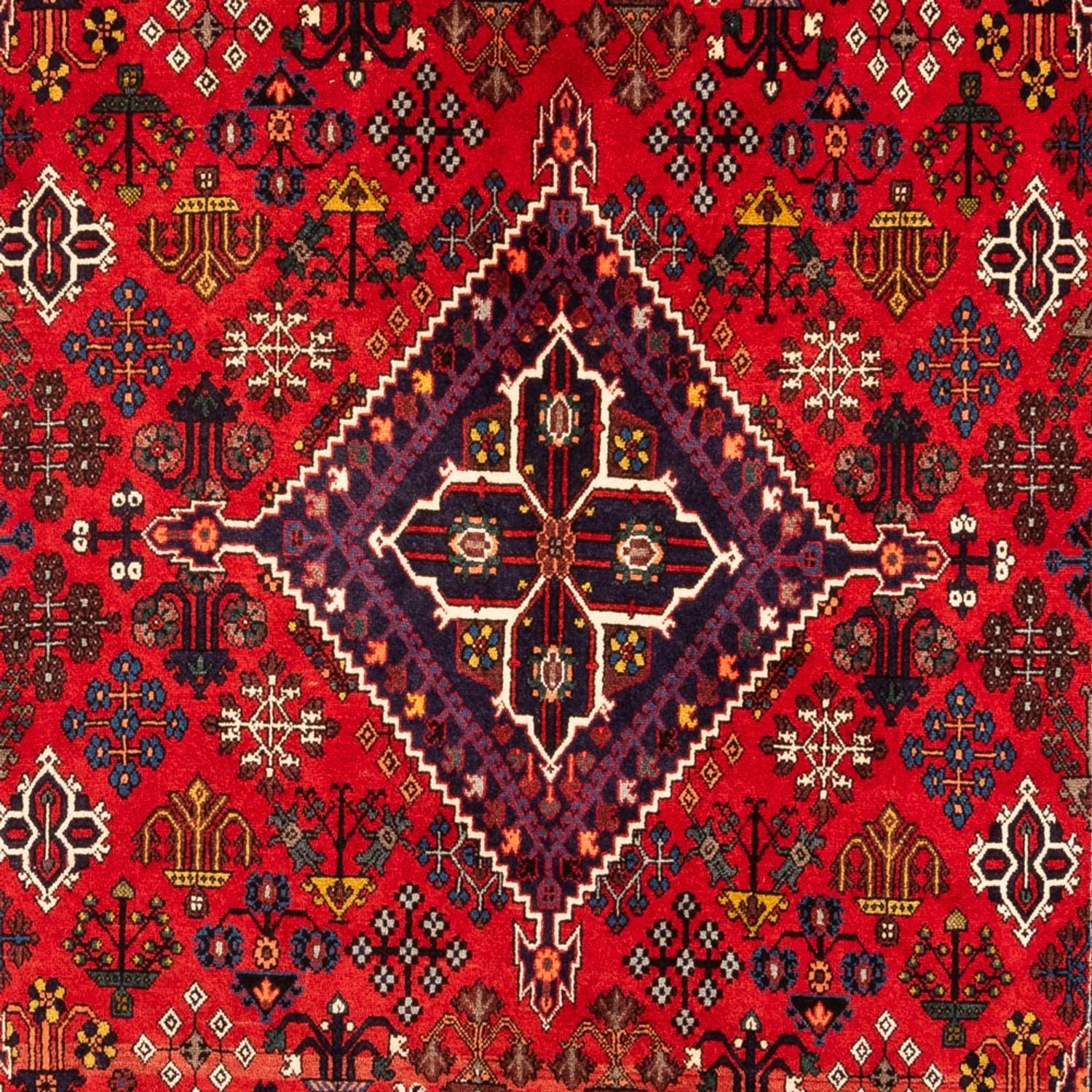 Tappeto Gabbeh - Persero - 320 x 216 cm - multicolore