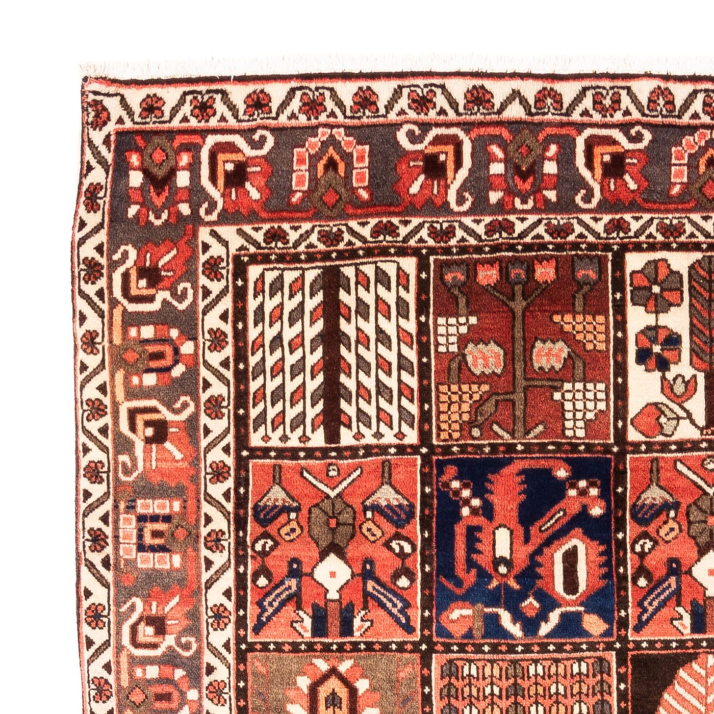 Bakhtiari Tappeto 304x198cm - Tappeto persiano