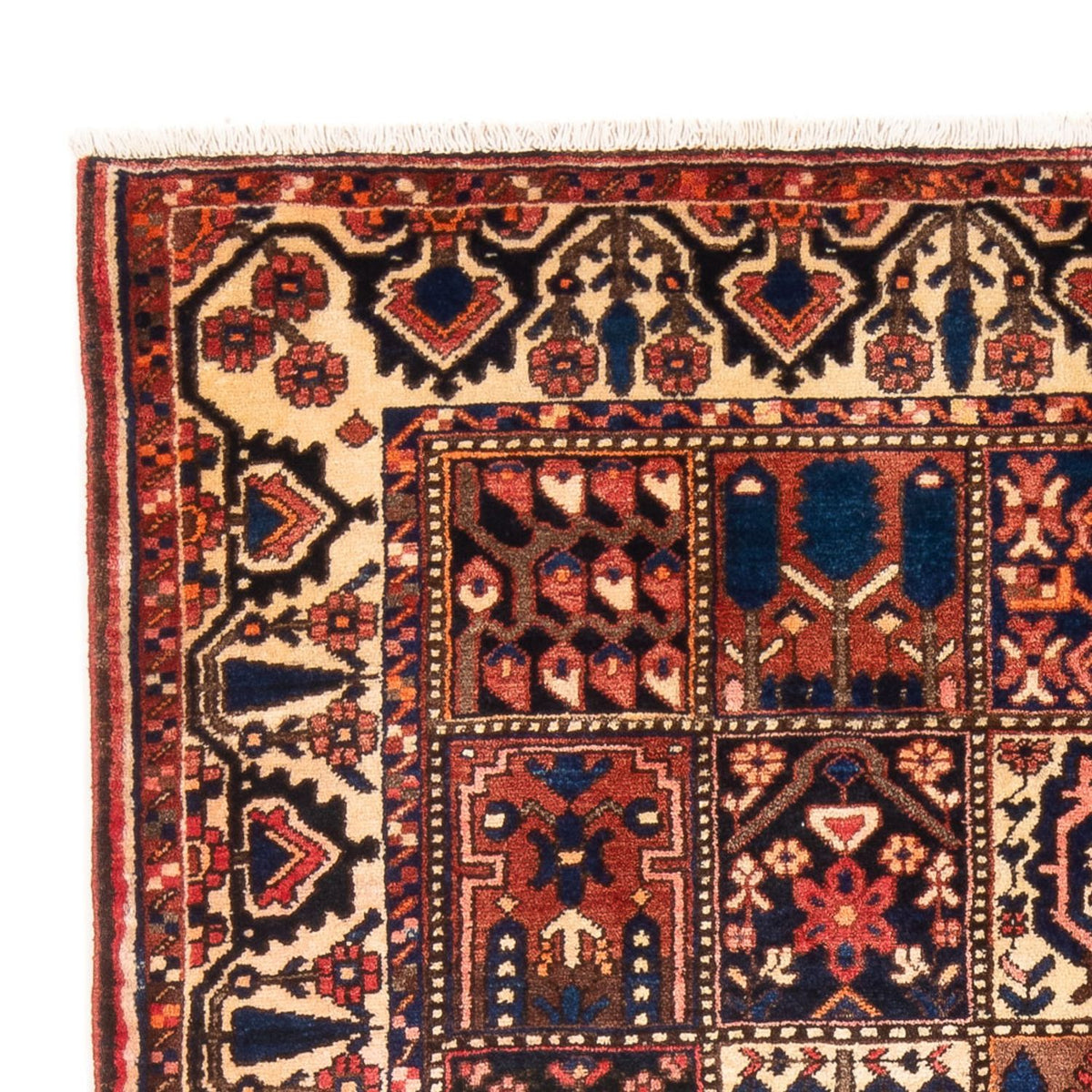 Bakhtiari Tappeto 147x210cm - Tappeto persiano
