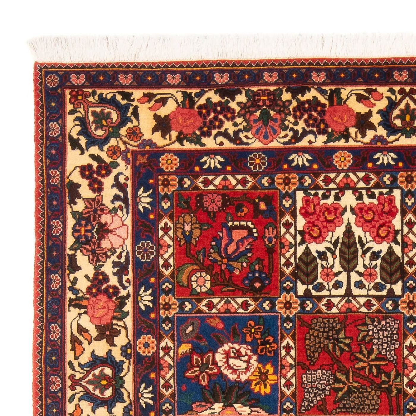 Bakhtiari Tappeto 205x138cm - Tappeto persiano