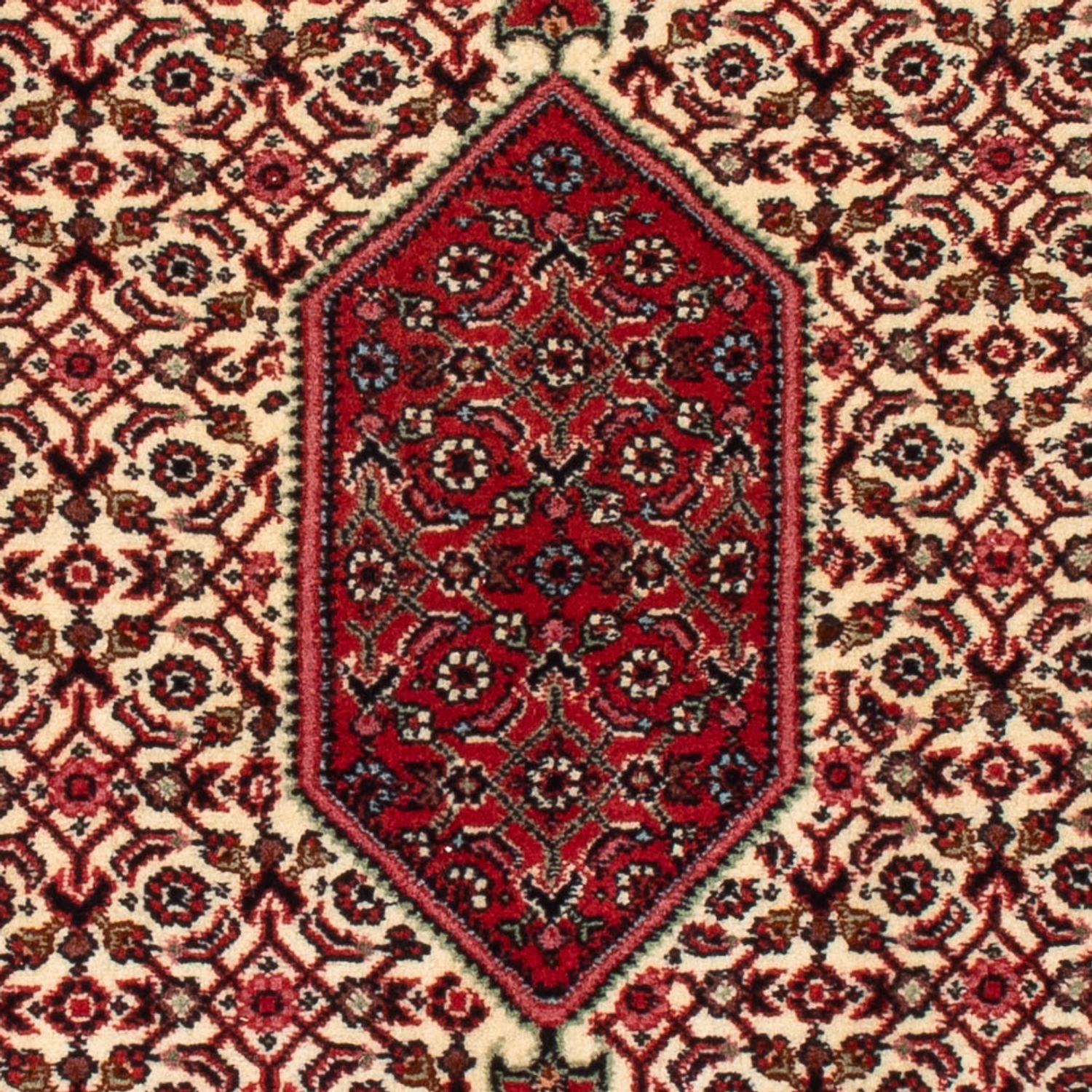 Tappeto Persero - Bidjar - 90 x 77 cm - crema