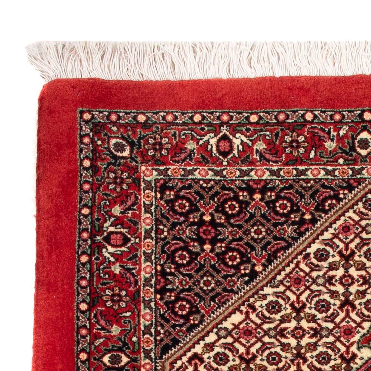 Tappeto Persero - Bidjar - 90 x 77 cm - crema