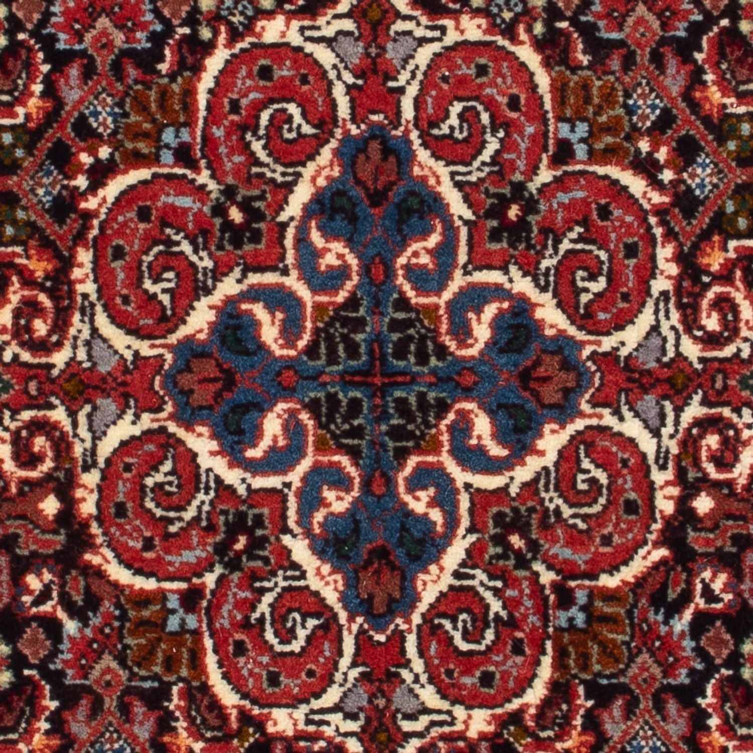 Tappeto Persero - Bidjar - 73 x 53 cm - blu scuro