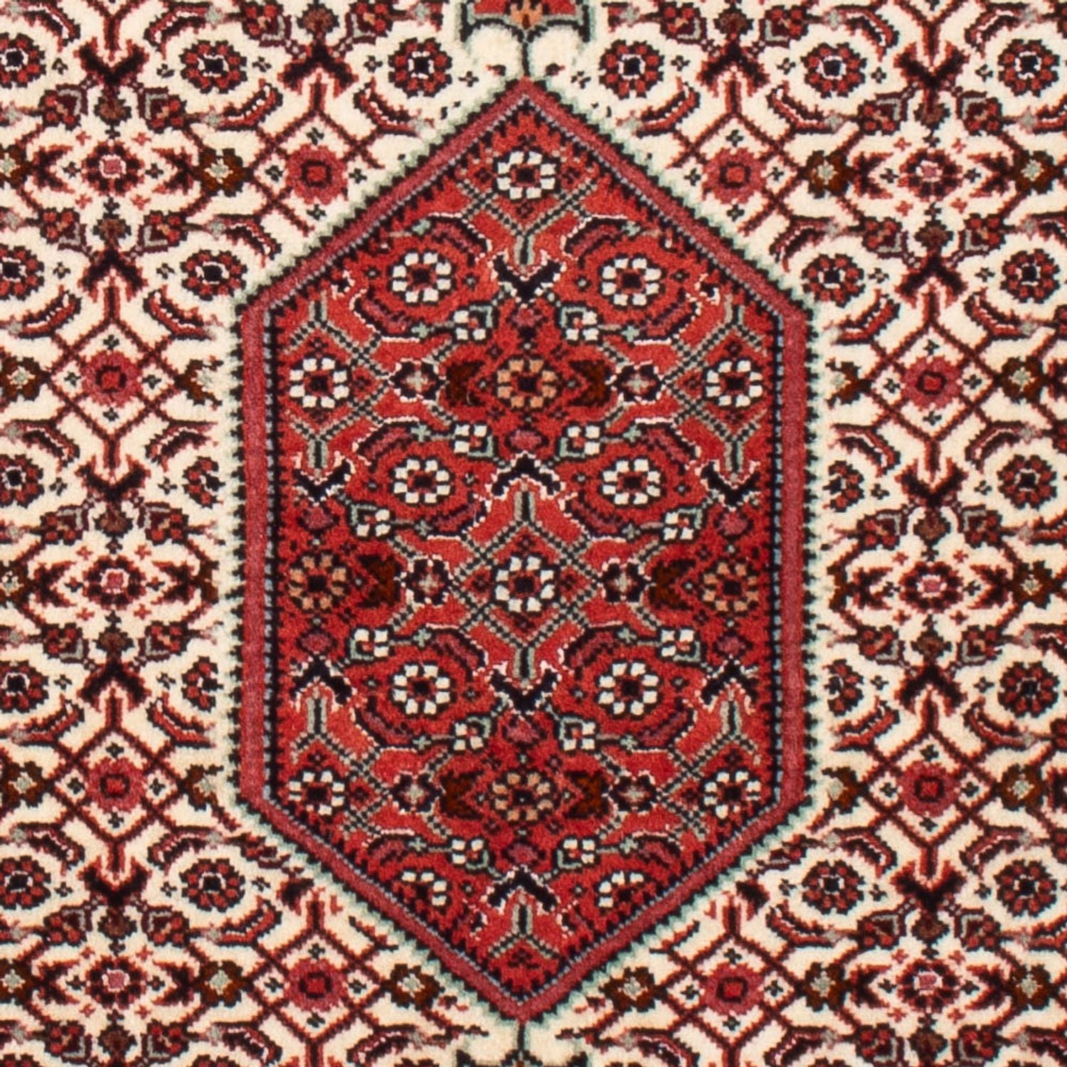 Tappeto Persero - Bidjar - 90 x 70 cm - beige