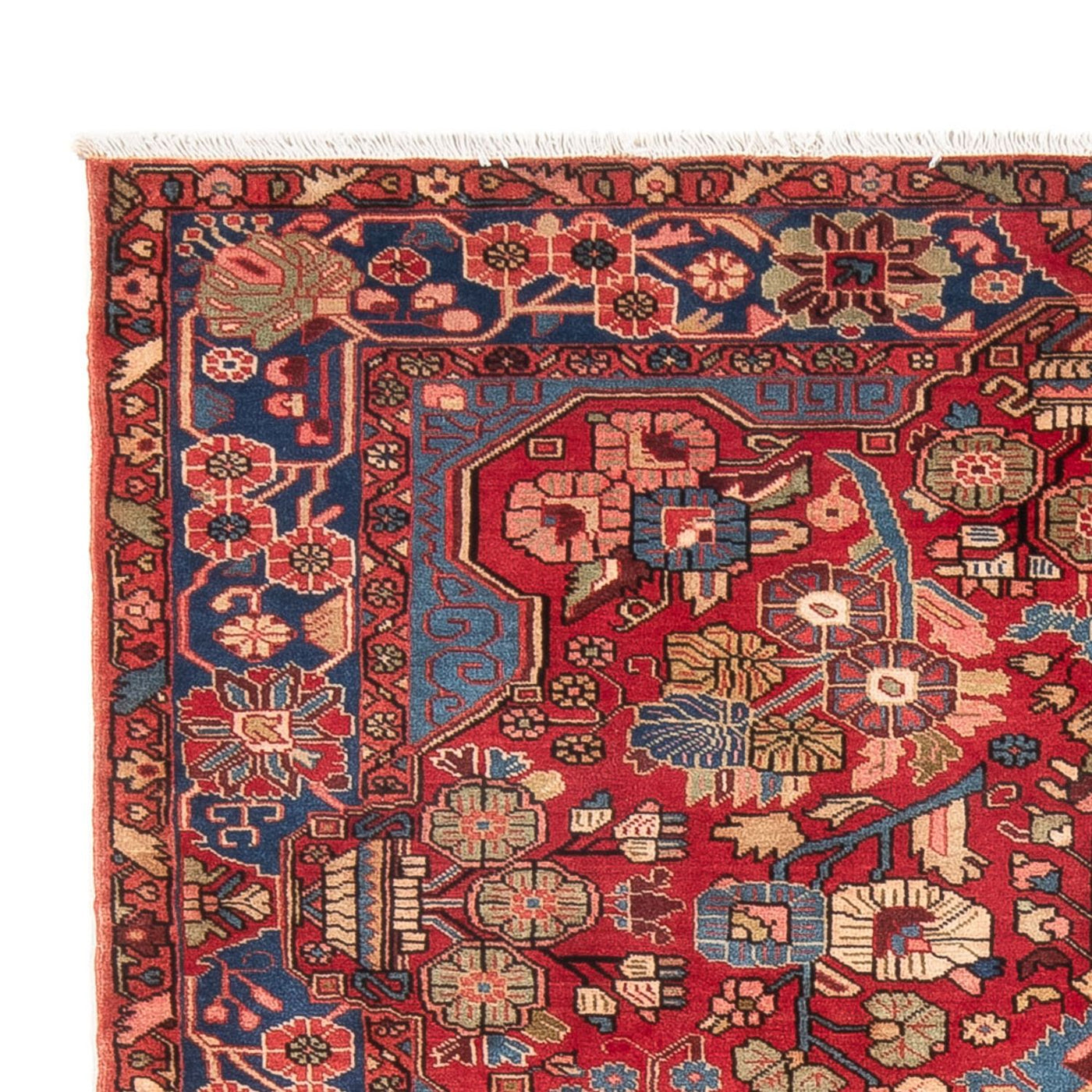 Sarouk Tappeto 242x158cm - Tappeto persiano