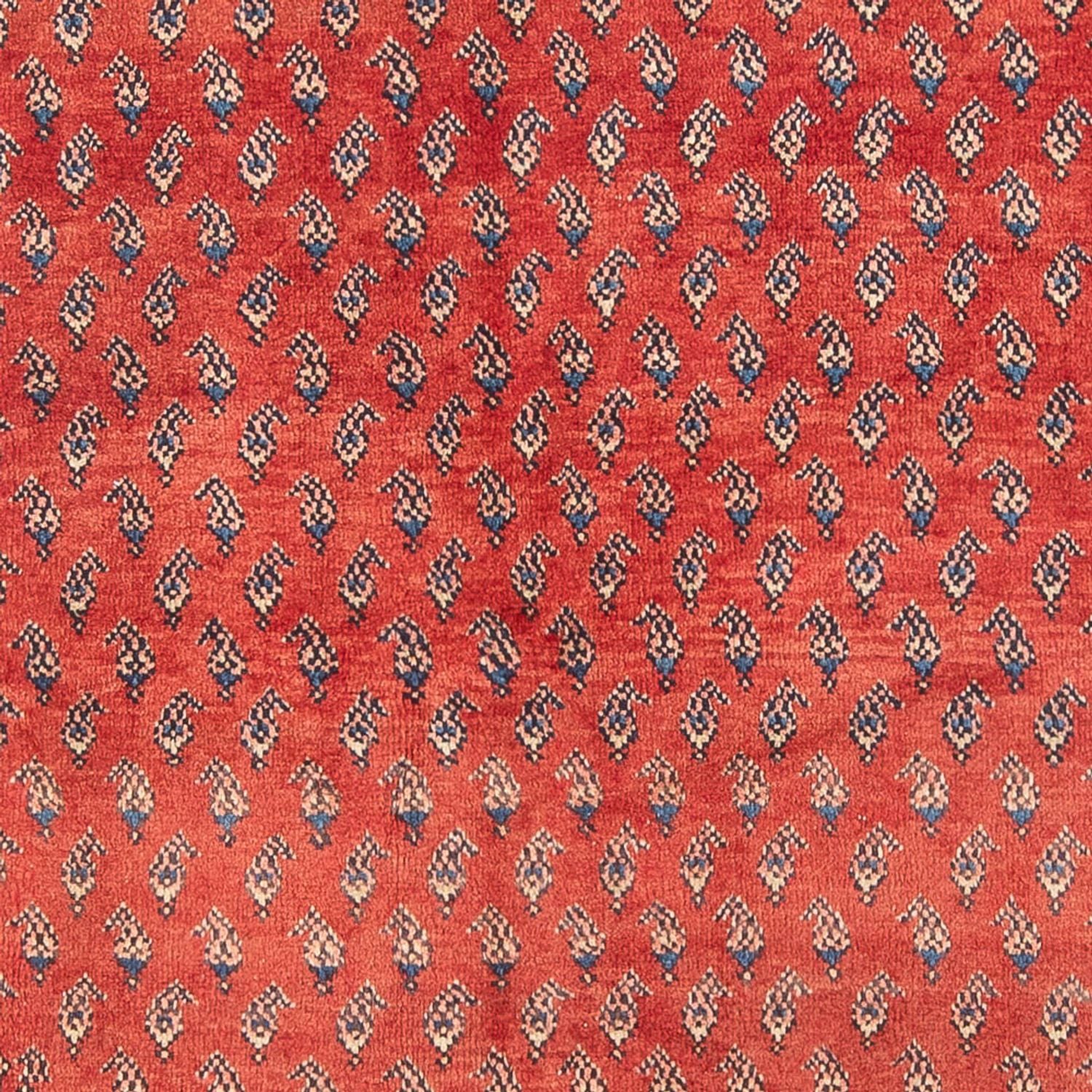 Tappeto Persero - Nomade - Reale - 211 x 134 cm - rosso