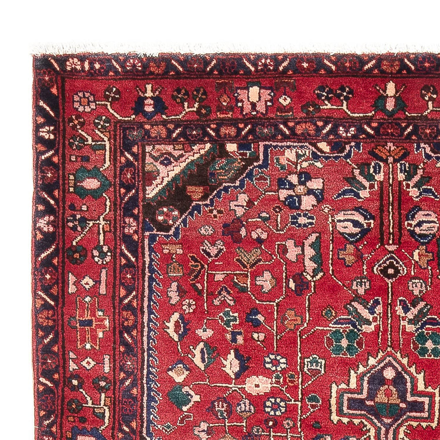 Kolyai Tappeto 237x152cm - Tappeto persiano