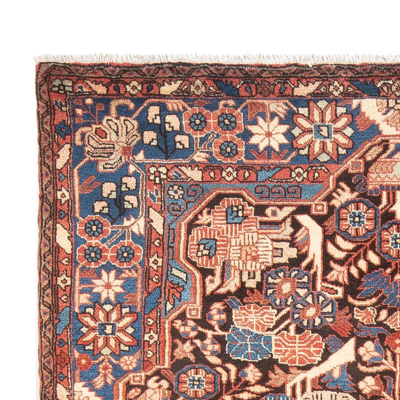 Nahavand Tappeto 244x155cm - Tappeto persiano
