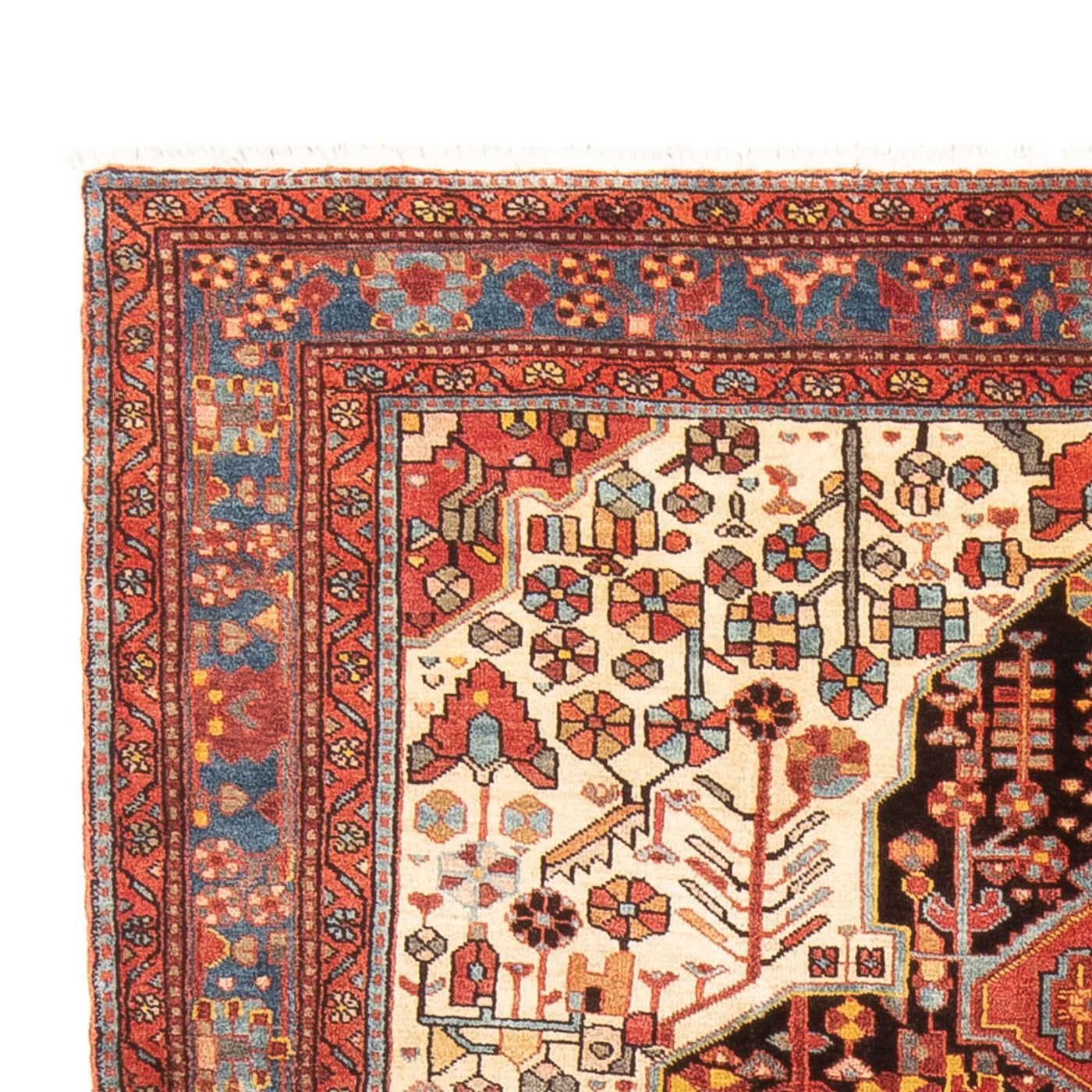Nahavand Tappeto 234x153cm - Tappeto persiano