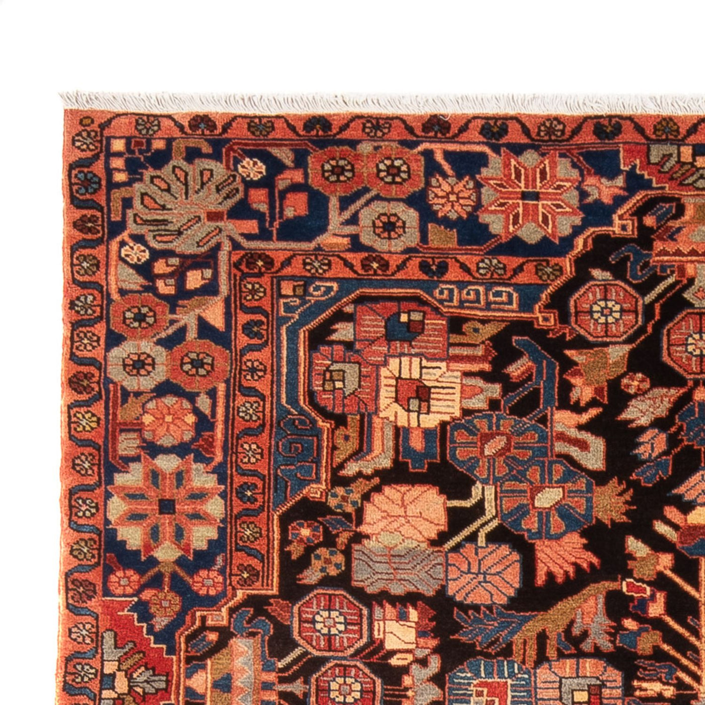 Nahavand Tappeto 245x154cm - Tappeto persiano
