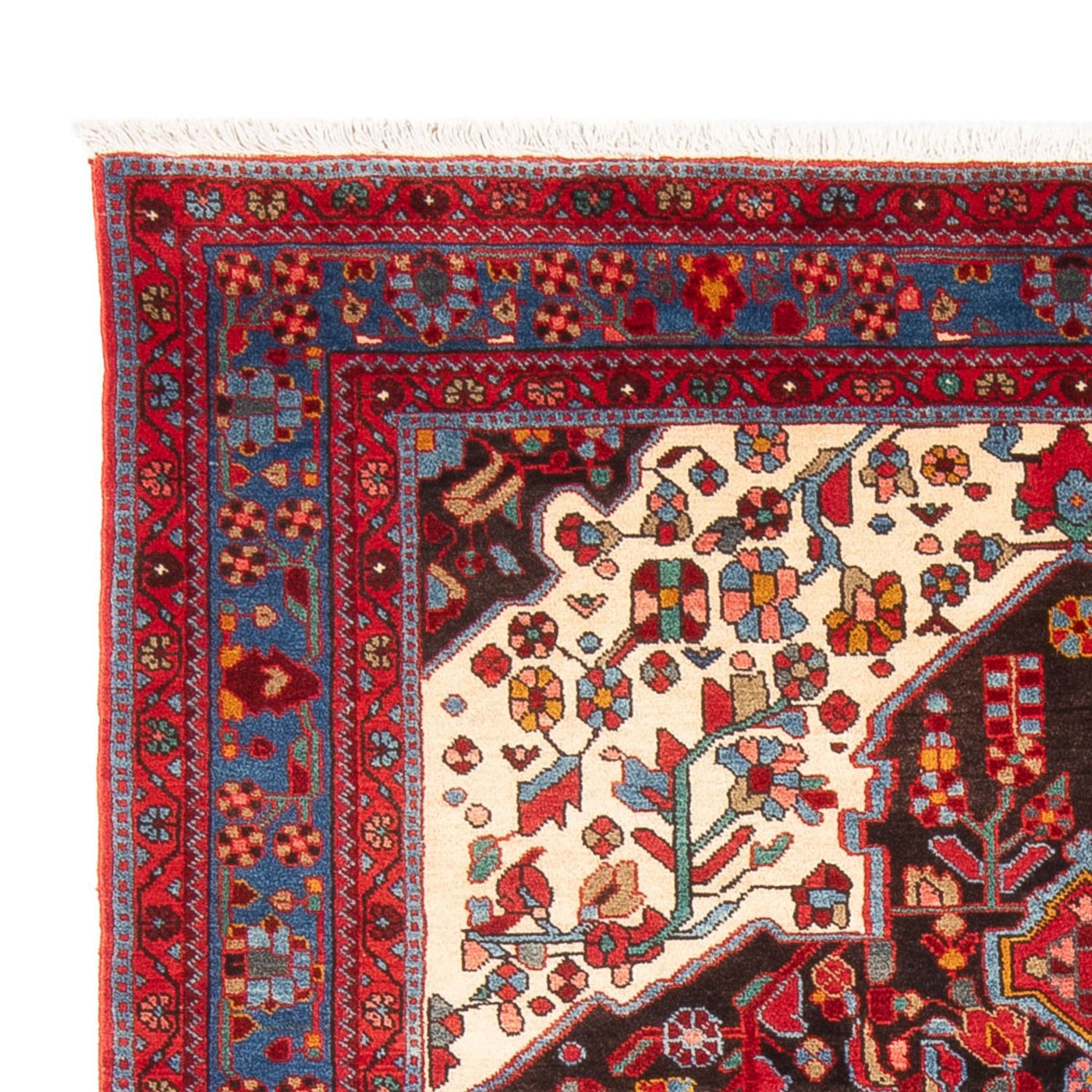 Nahavand Tappeto 230x155cm - Tappeto persiano