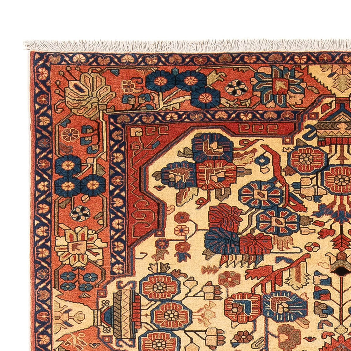 Nahavand Tappeto 160x238cm - Tappeto persiano