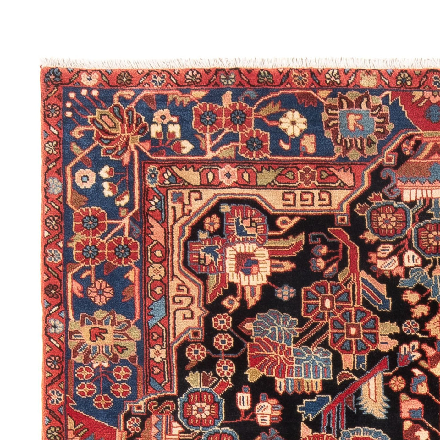 Nahavand Tappeto 242x158cm - Tappeto persiano